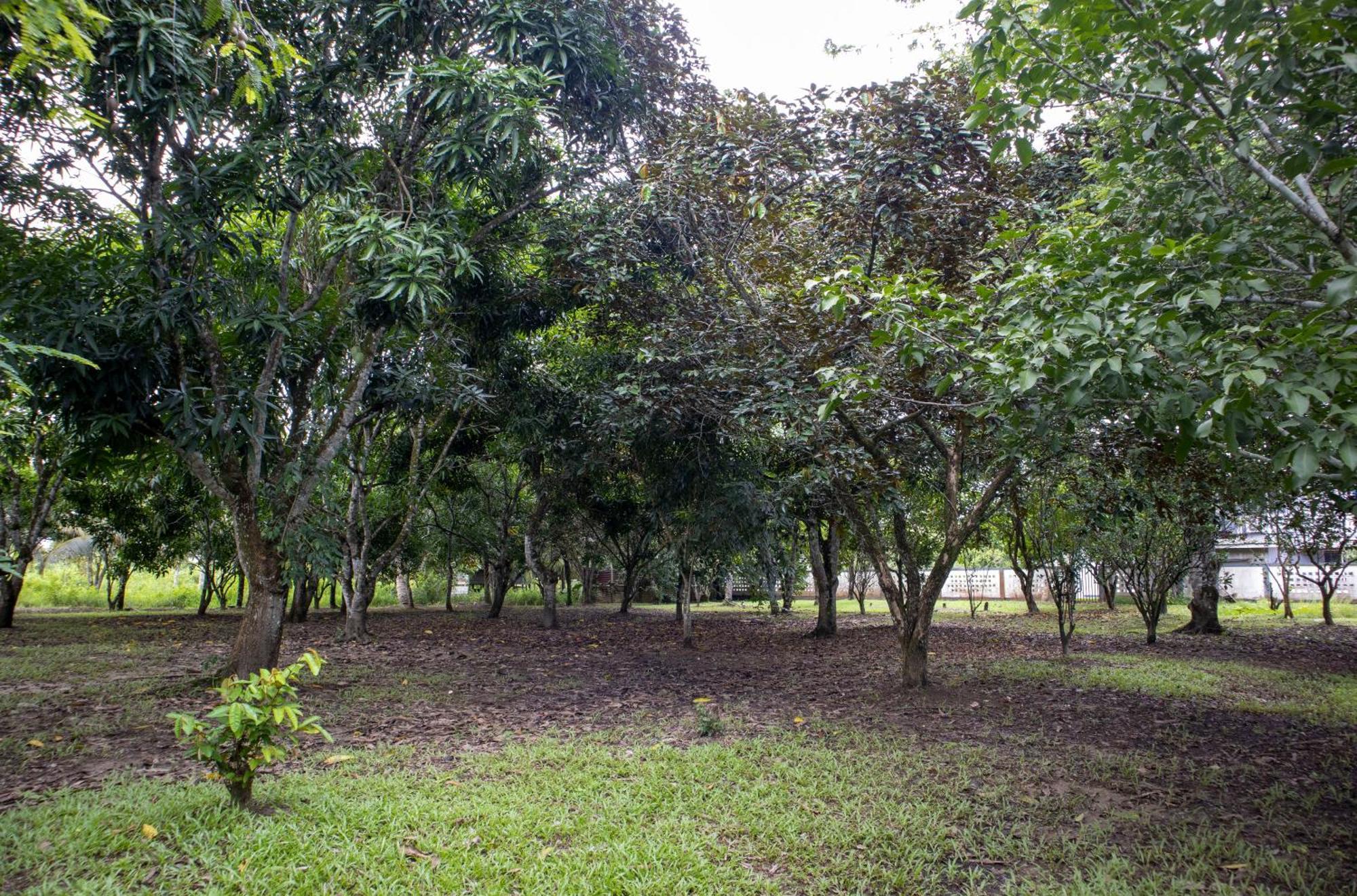 Sabajo Appartement Verhuur Paramaribo Exterior photo
